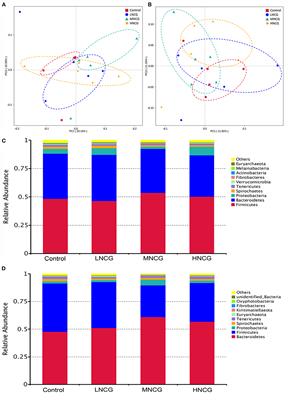 Microbiome-Metabolome Responses in Ruminal Content and Feces of Lactating Dairy Cows With N-Carbamylglutamate Supplementation Under Heat Stress